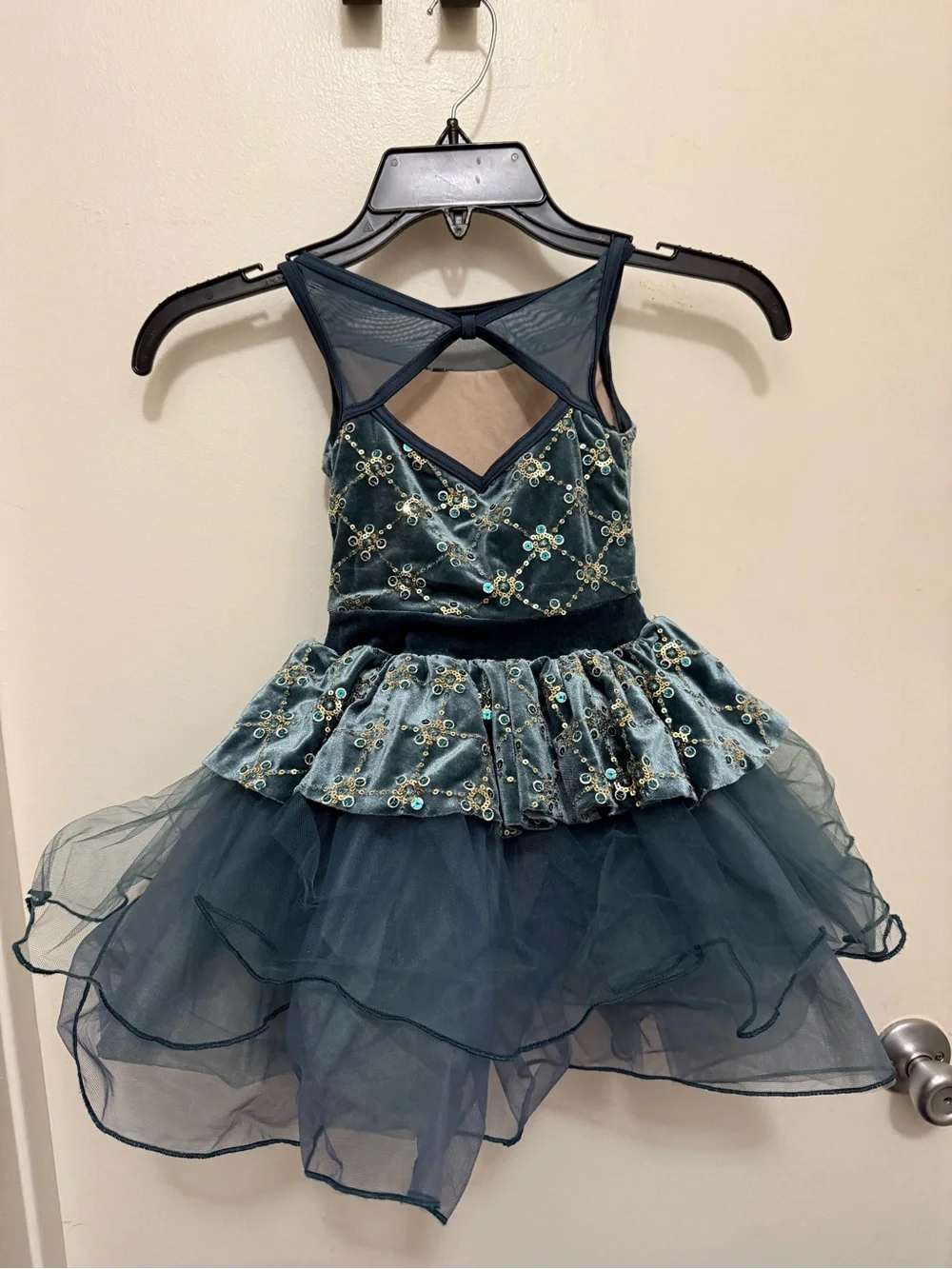Teal Floral Velvet and Tulle Girls' Costume/ Recital Dress